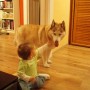 Salon, pies w domu - Baaardzo kocha dzieci! Baaaardzo! a dzieci ją :o)