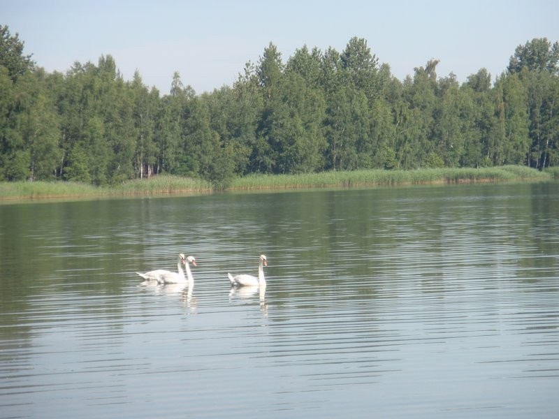 Pozostałe, W parku i nad wodą.