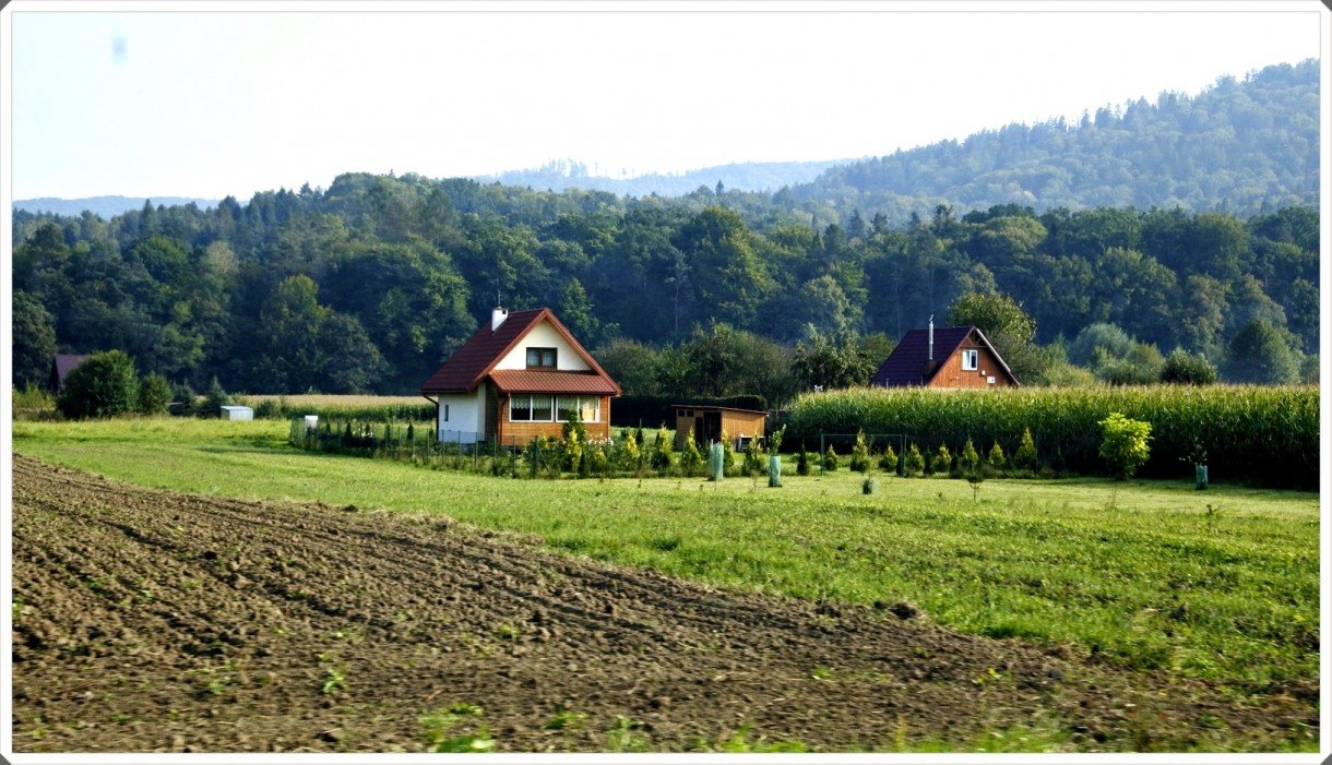 Leśne klimaty, Łąki nad Sanem