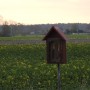 Leśne klimaty, " DZIKIE SERCE  "