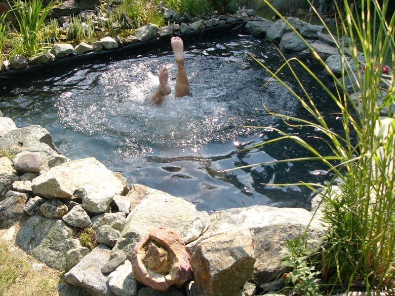 Ogród, Ogrodowe dekoracje - mąż zażywa kąpieli -a mnie służy do wodnego aerobiku