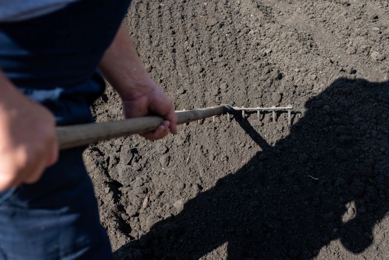 Popi&oacute;ł drzewny przyda się do odkwaszania gleby w ogrodzie.