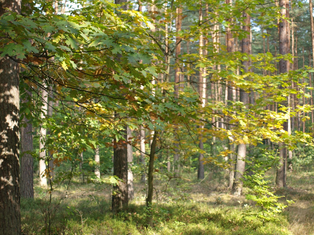 Podróże, wrześniowo i październikowo