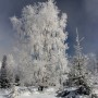 Pozostałe, zimowe klimaty - .