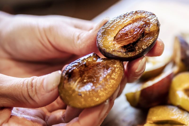 Opaski z tektury falistej pomogą zwalczyć owocówkę śliwkóweczkę, szkodnika śliwy.