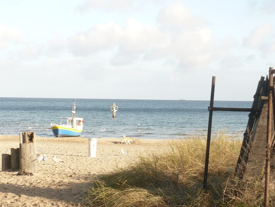 Pozostałe, Jeszcze listopad ...........ale już za chwilę grudzień ......... - ................i plaża...................