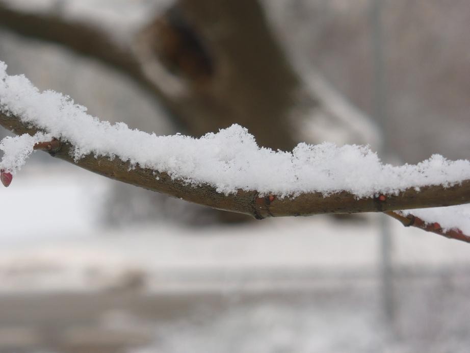 Pozostałe, Pierwsze pisanki haftowanki i zima nad morzem ................. - ........i puszysty śnieg ............