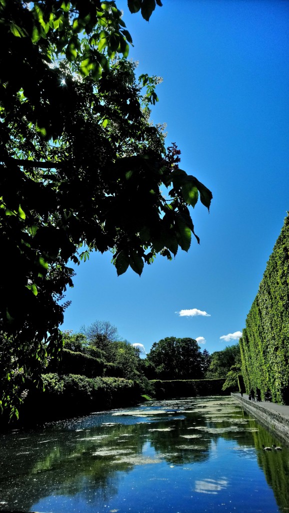 Rośliny, Czerwcowa.................... - ...............i kasztanowiec nad stawem...............