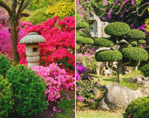 Jak założyć ogród japoński? Zasady projektowania, najpiękniejsze rośliny, pielęgnacja
