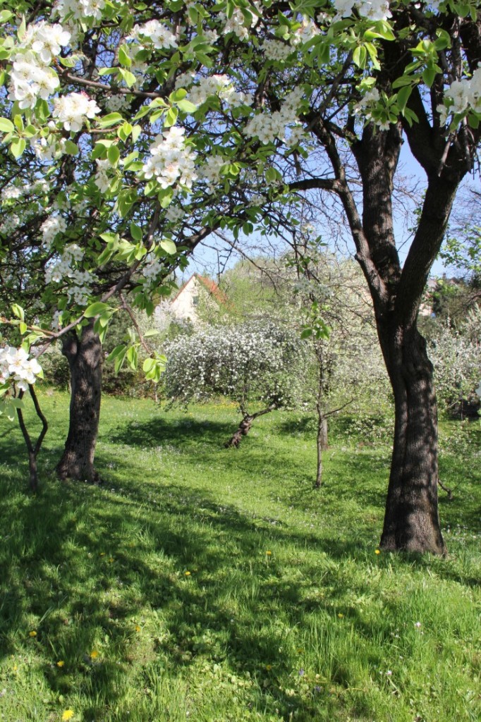 Pozostałe, sielsko - anielsko - ...