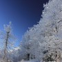 Pozostałe, zimowe klimaty - .