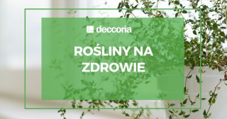 Rośliny na zdrowie