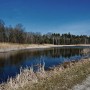 Pozostałe, Marzec u mnie -  uroczy stawek