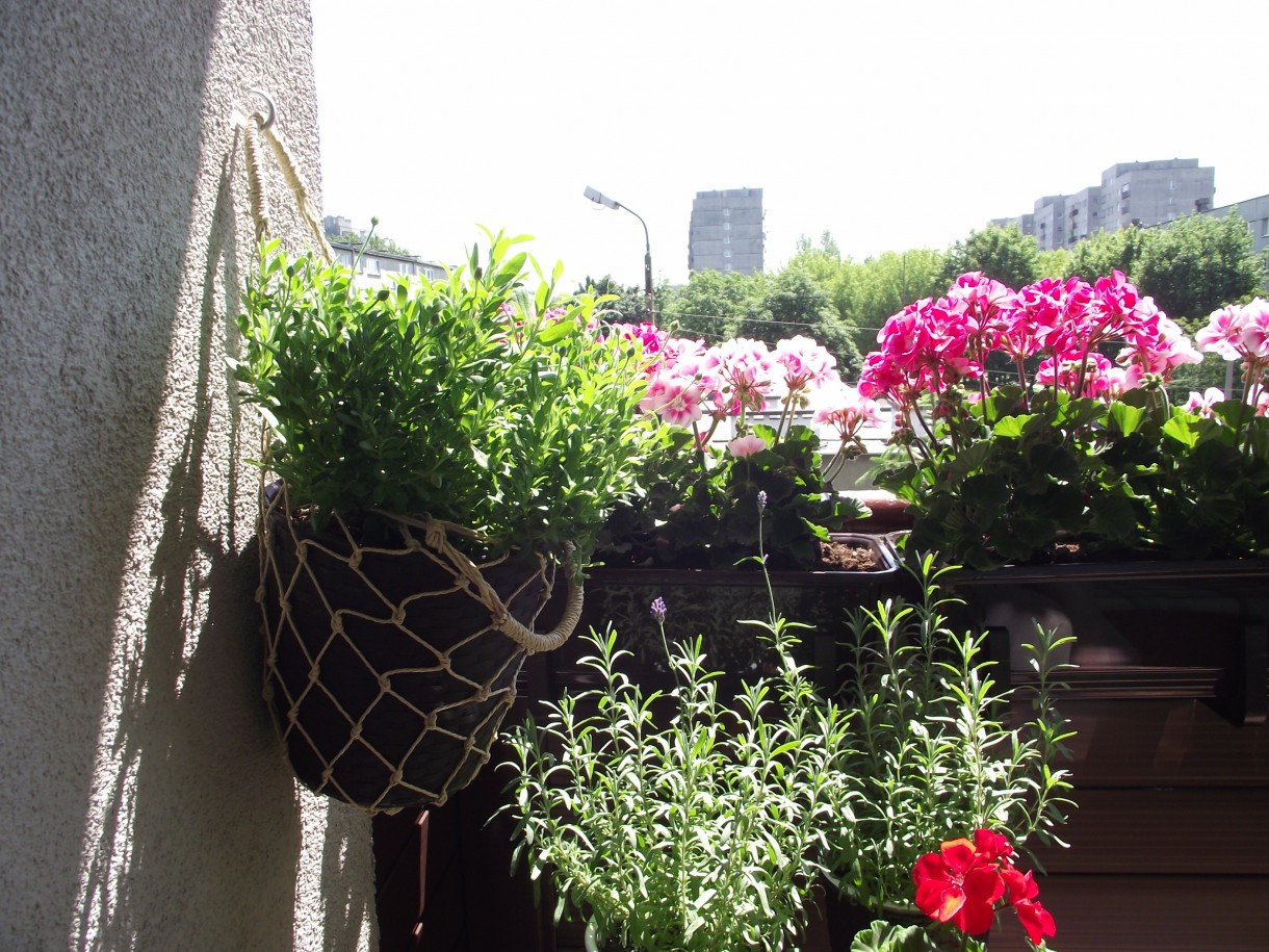 Pozostałe, Balkon ,moja oaza spokoju. - ...