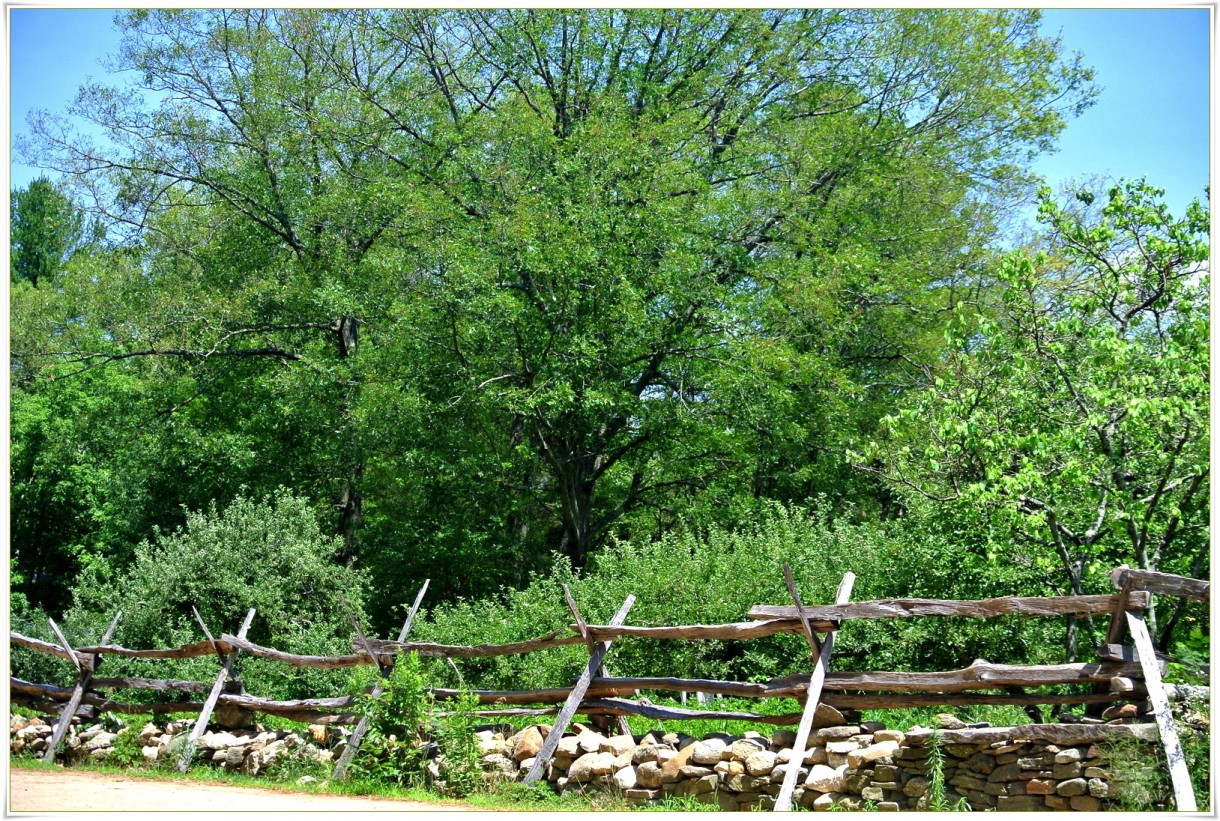 Podróże, Old Sturbridge Village