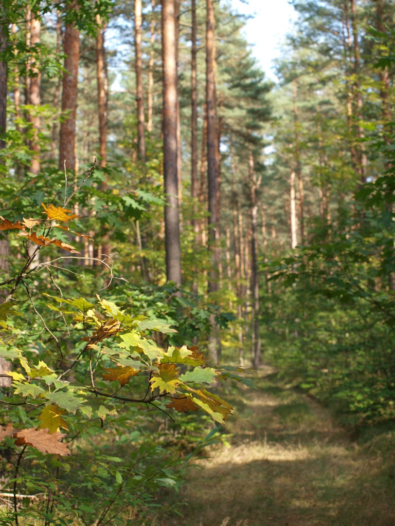 Podróże, wrześniowo i październikowo