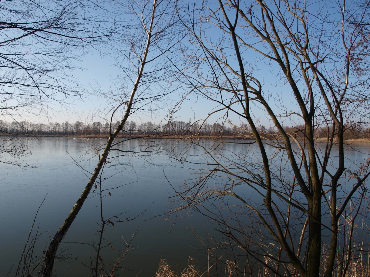 Pozostałe, Przedwiosenne pstryki