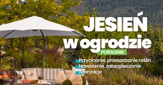 Jesień w ogrodzie