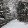 Leśne klimaty, CZEKAJĄC NA ŚWIĘTA :)