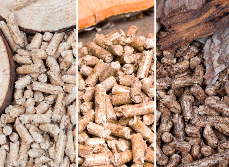 pellet