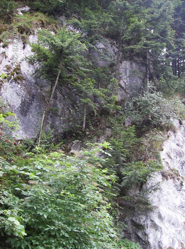 Pozostałe, PIENIŃSKI PARK NARODOWY - SZCZAWNICA - DEPTAK NAD DUNAJCEM