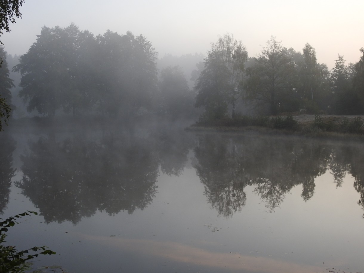 Leśne klimaty, JESIEŃ...JAK ZACZAROWANA