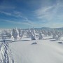 Leśne klimaty, Na odchodne....Zimy....