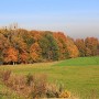 Pozostałe, jesień w naszym ogrodzie - jesienny spacer...