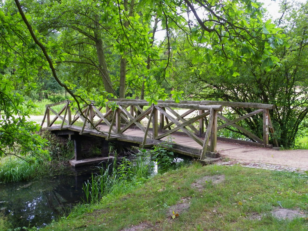 Pozostałe, Arboretum w Gołuchowie - Park i zabudowania cz 1 - Gołuchów 