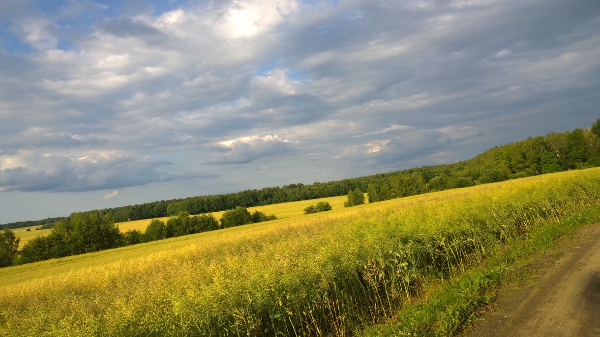 Pozostałe, wakacyjne pstryki .... - pola i lasy idealne na wyprawę rowerową