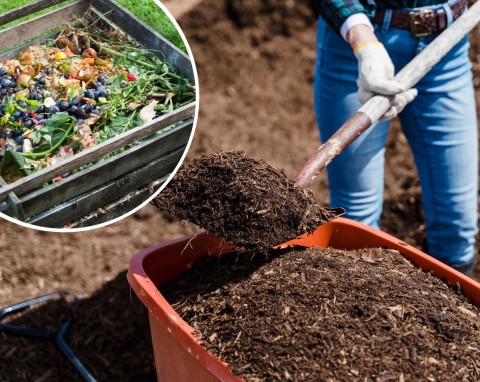 Czym zastąpić obornik? Jaki kompost jest najlepszy i jak go przygotować