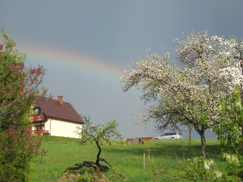 Pozostałe, Kiedy wiosna buchnie majem...