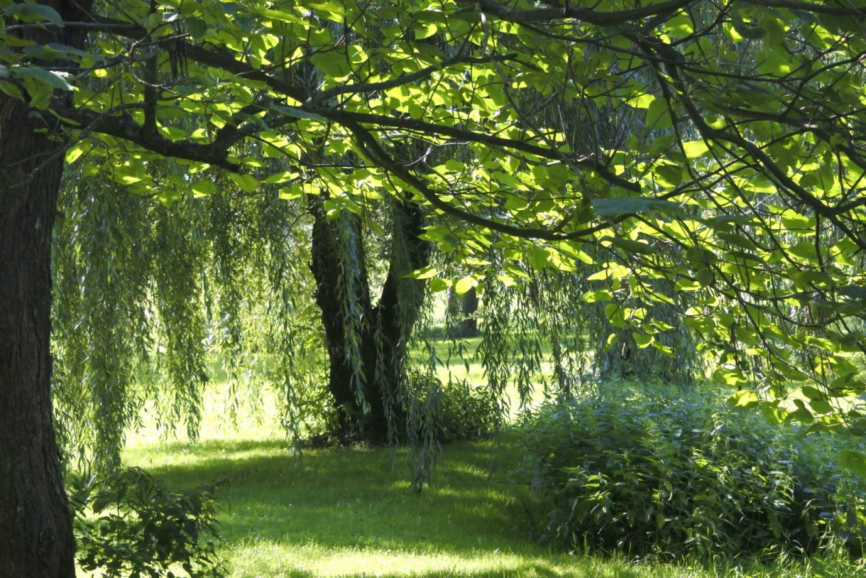 Leśne klimaty, Szybki wypad za miasto..