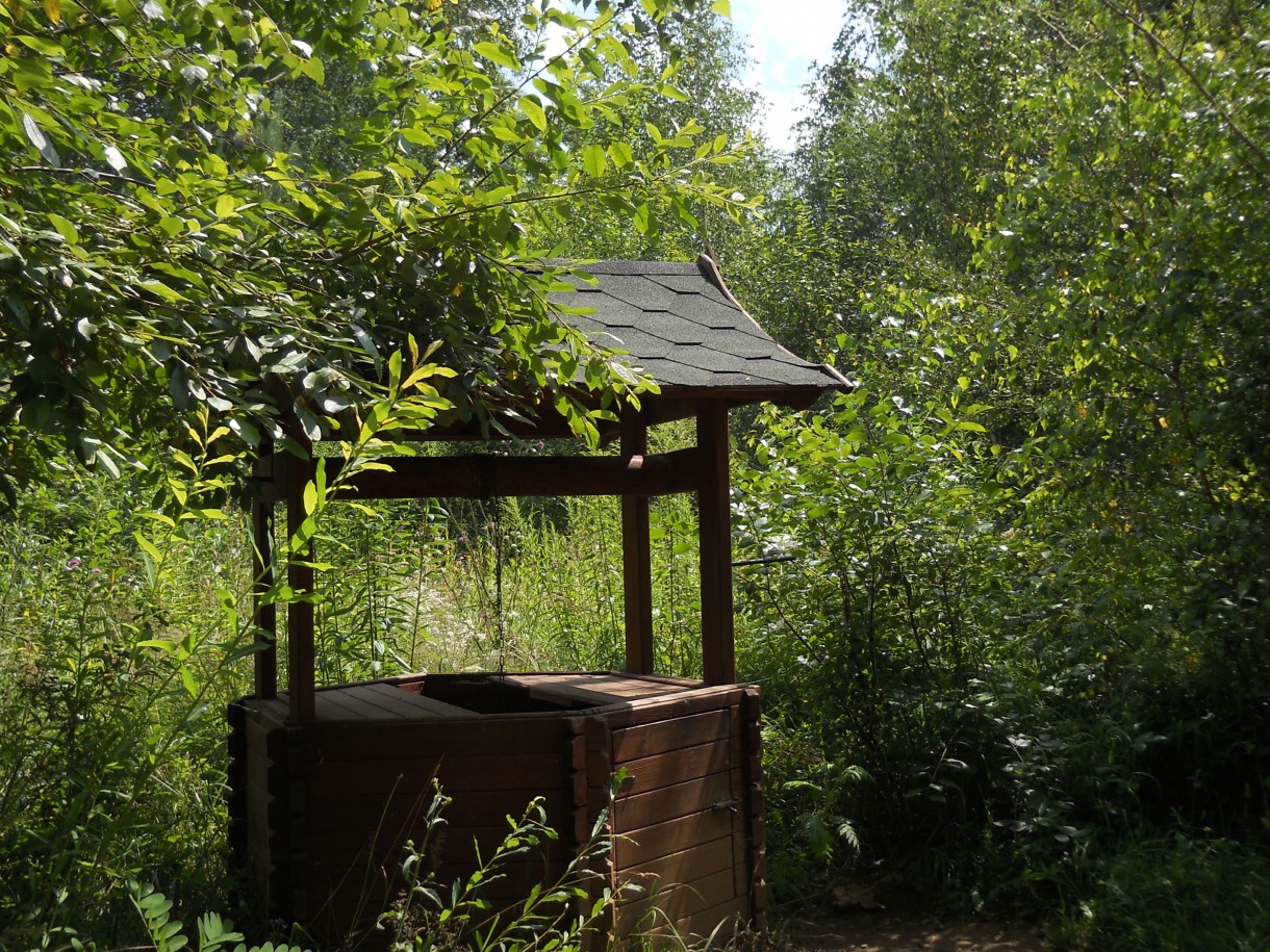 Pozostałe, Arboretum Gródek - polskie Malediwy. - Studzienka wyłoniła się niespodziewanie z lasu:)