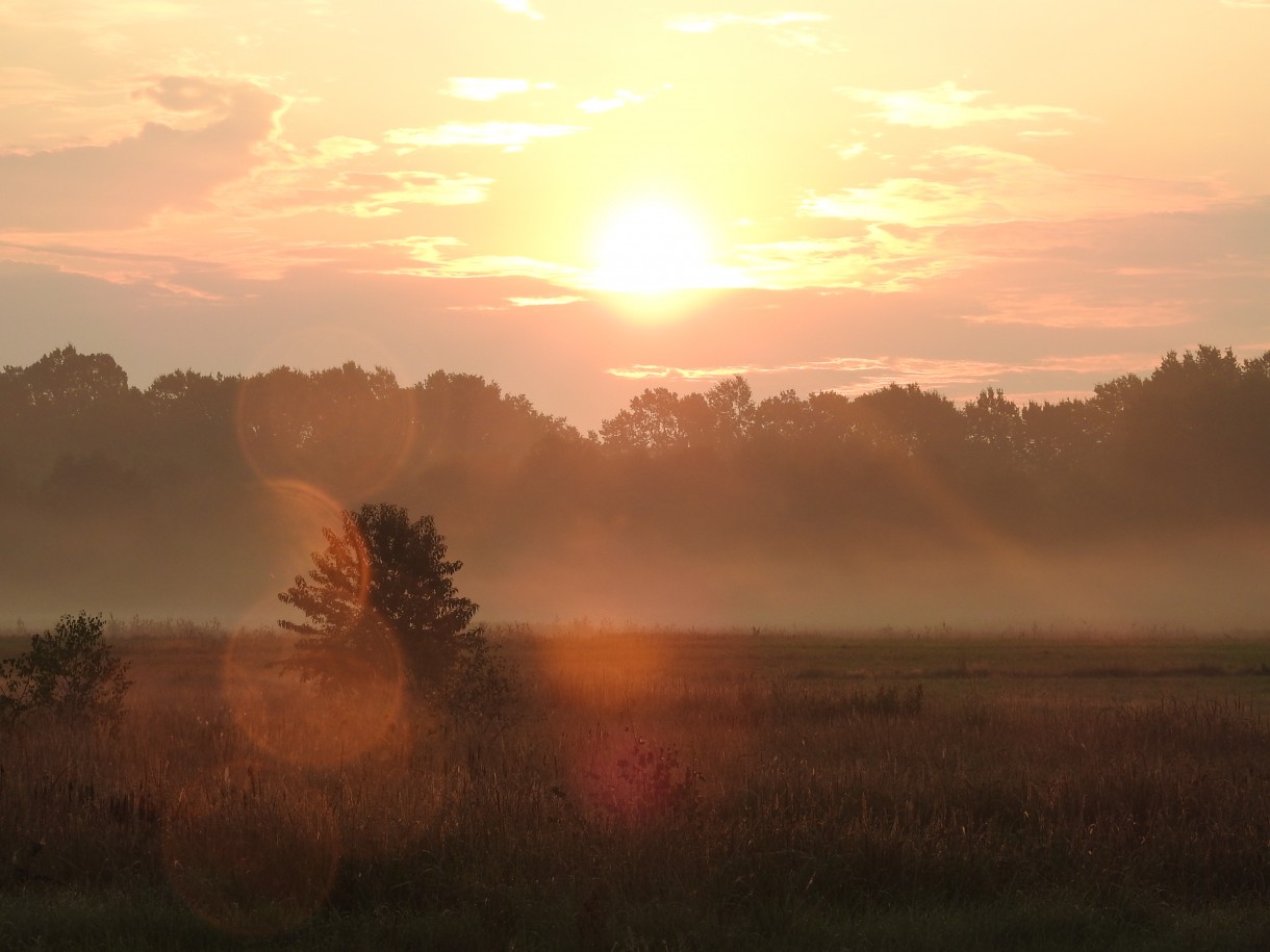 Leśne klimaty, WRZEŚNIOWY PORANEK :)