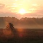 Leśne klimaty, WRZEŚNIOWY PORANEK :)