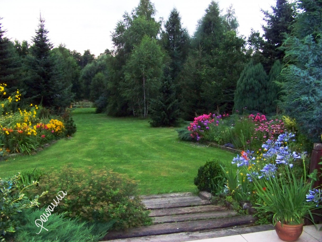 Pozostałe, LATO w moim ogrodzie i na tarasie - panorama widokowa :))))