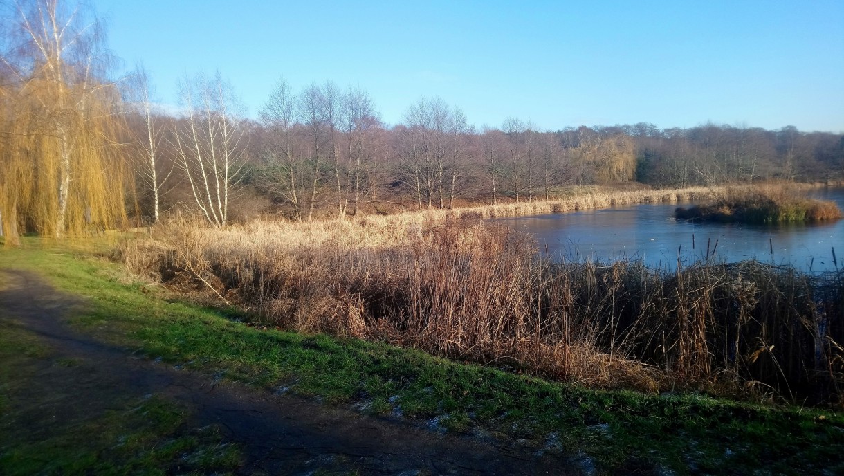 Dekoracje, Styczniowa..........Wszystkiego Najlepszego w Nowym Roku...... - Oby ten rok był wspaniały ...............oby każdy z Was spełniał swoje  marzenia ............Zdrowia , Szczęścia ,  Pomyślności  życzę Wam :)
Zima nad morzem jest piękna :)