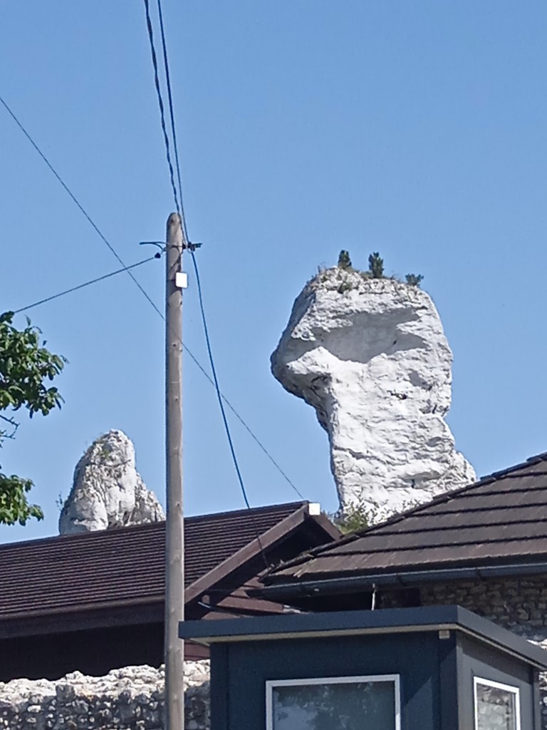 Podróże, PRZYSTANEK  W  OGRODZIEŃCU