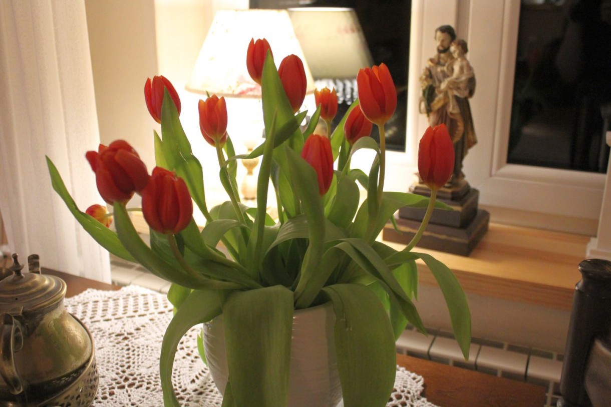 Dekoracje, Tulipanowa niedziela :)