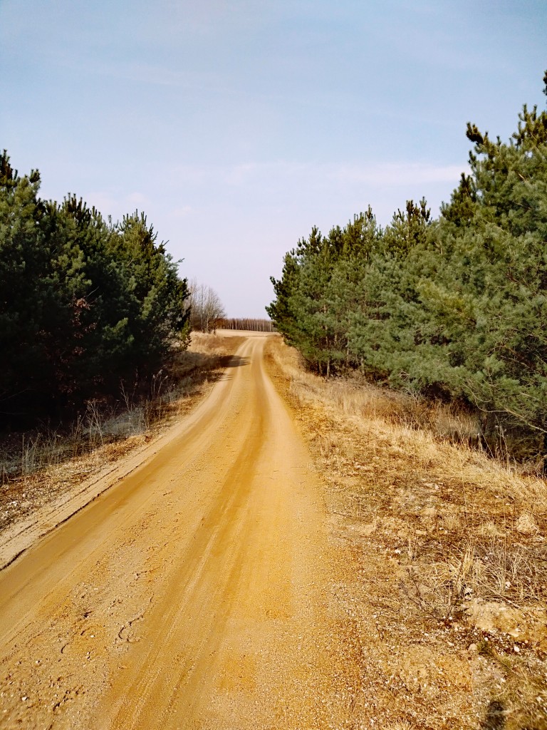 Leśne klimaty, Natura