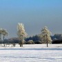 Pozostałe, Dekoracyjna zima.