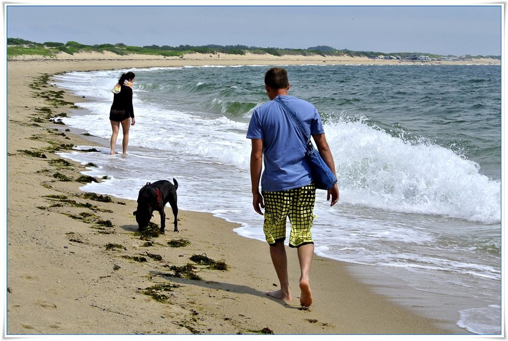 Pozostałe, Ocean szumi inaczej.... - ..brzegiem oceanu..w dal..