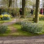 Pozostałe, Keukenhof