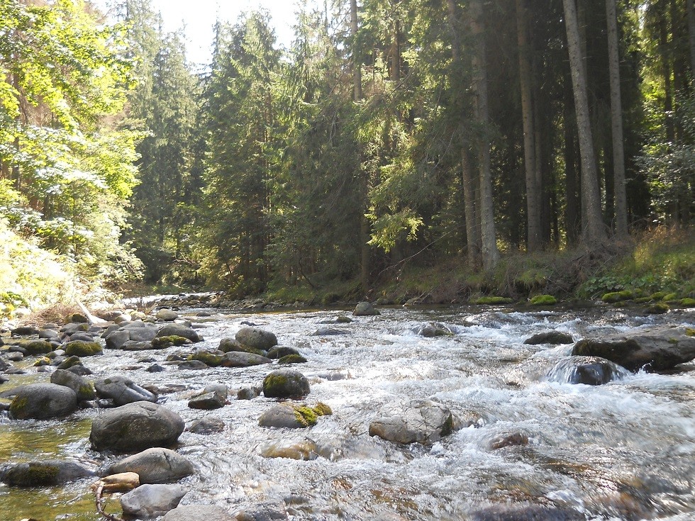 Pozostałe, Zakopane w foto - pigułce. Część piąta: Dolina Kościeliska. - ..jeszcze raz w całej swej piękności...