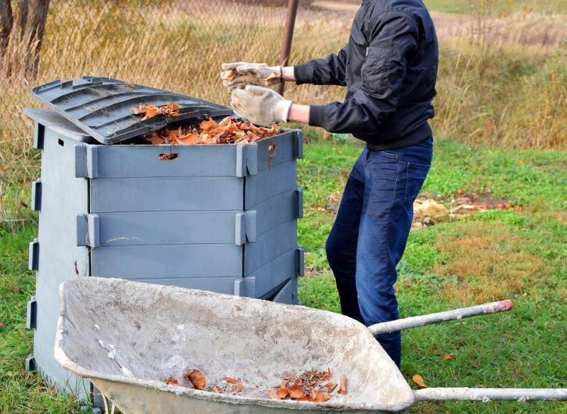 Suche liście mogą wzbogacić skład kompostu.