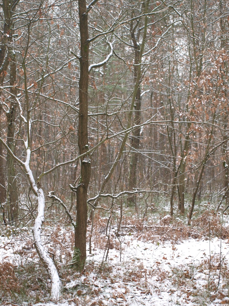 Podróże, śniegiem przyprószona