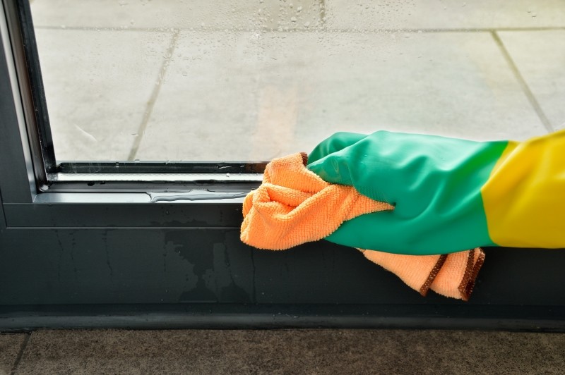 jak pozbyć się pleśni z parapetu 