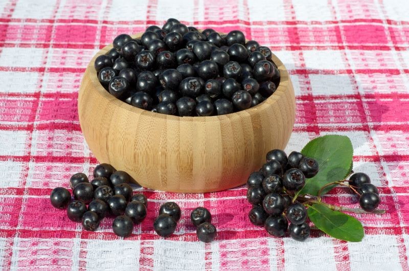 Z pełnych witamin owoców aronii najlepiej przygotować przetwory.