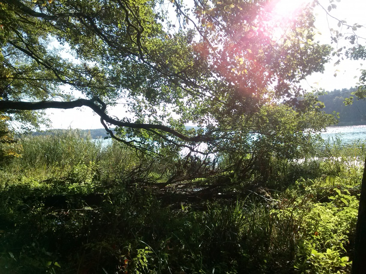 Pozostałe, Szukałam jesieni... - było zimno i wietrznie, ale słonko świeciło